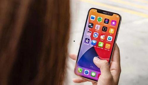 iphone13 promax最新爆料,设计革新与性能升级大揭秘！