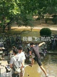 杭州下水道爆料事件最新,揭秘城市“地下暗流”背后的真相